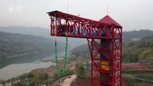 Pig Forced to Bungee Jump in China Deemed Act of ‘Torture’