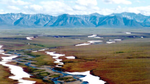 GOP-Controlled Senate Paves Way for Oil Drilling in Alaska’s Arctic National Wildlife Refuge