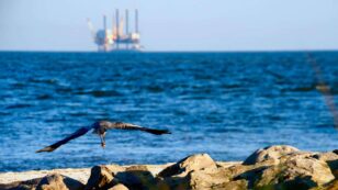 Fracking Dumps Millions of Gallons of Toxic Chemicals Into Gulf of Mexico