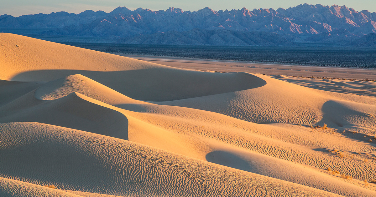 Fighting a Corporate Scheme to Sell the Mojave Desert's Water - EcoWatch