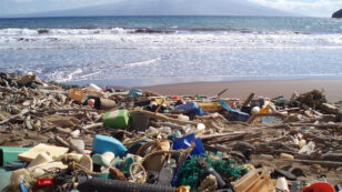 Ocean Plastic Projected to Triple Within Seven Years