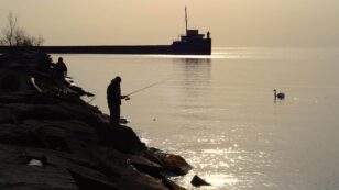 Record Levels of Harmful Particles Found in Great Lakes Fish