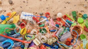 Plastics in Fossil Record: ‘This Is What Our Generations Will Be Remembered for’