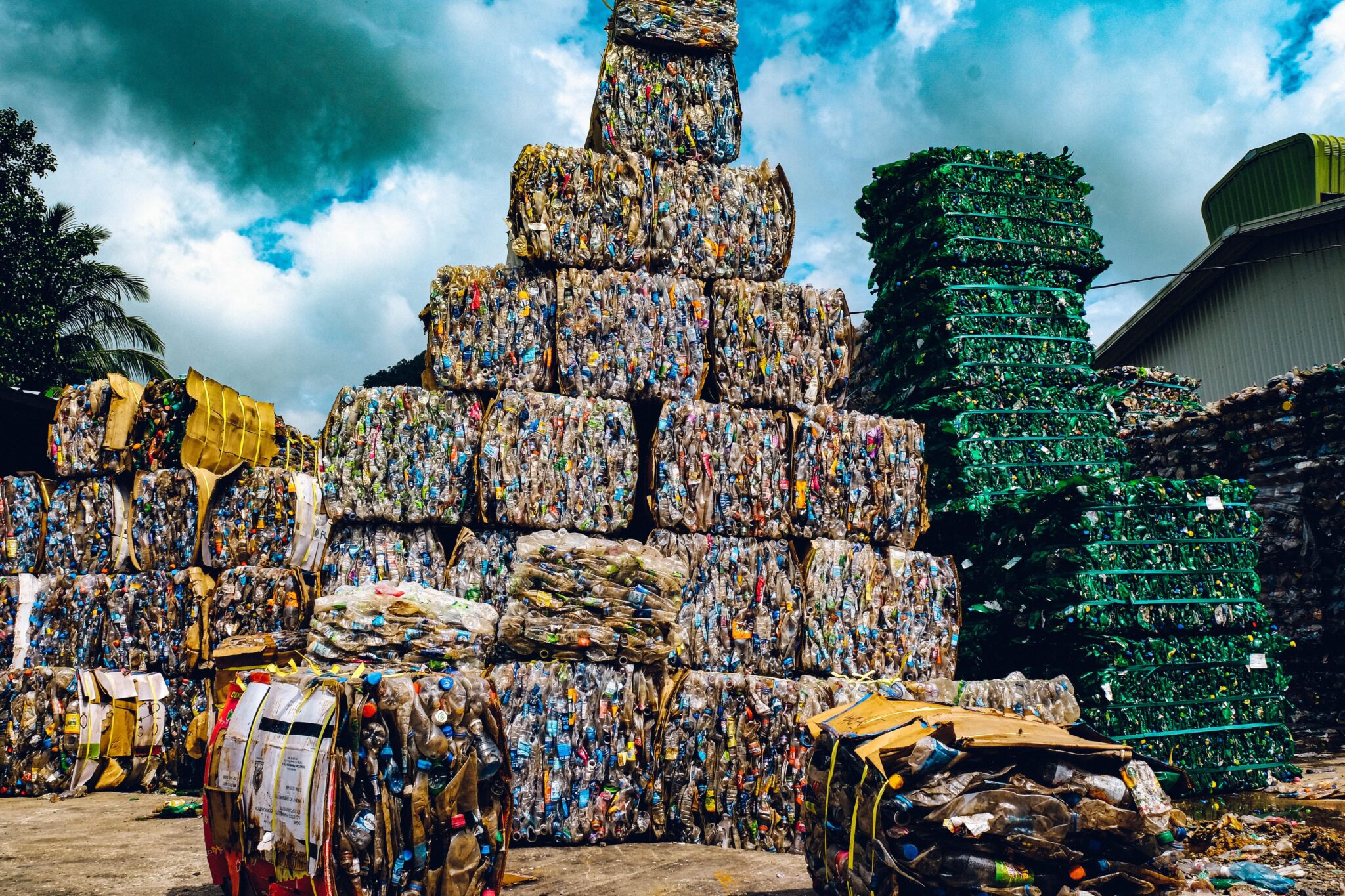 Mountains of colored and green bailed plastic bottles recovered from the sea await processing. 