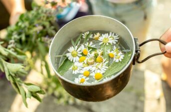 What’s So Great About Chamomile Tea? Everything.