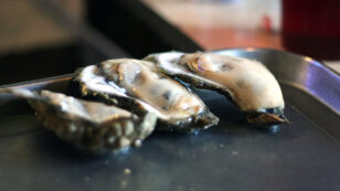 Hurricanes, Water Wars Threaten New High-End Oyster Industry on Gulf Coast