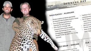 Trump Sons Auctioning Off $1 Million Hunting Trip to Celebrate Inauguration