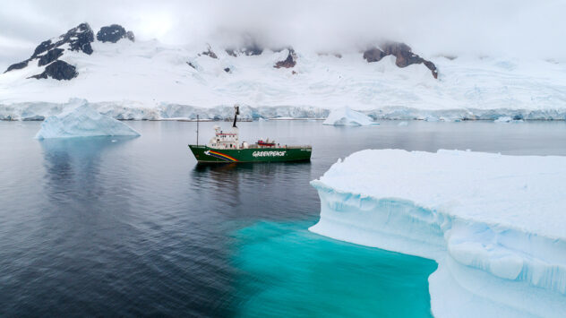 Greenpeace Finds Microplastics and Hazardous Chemicals in Remote Antarctic Waters