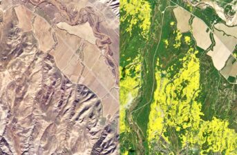 California’s Super Bloom So Intense It’s Visible From Space