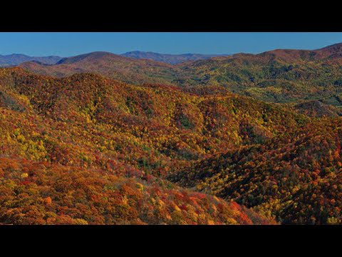 Emotional Video Shows Colorblind Park Visitors Seeing Fall Colors for First Time