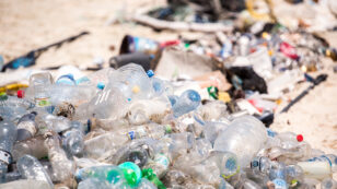 Plastics: The History of an Ecological Crisis