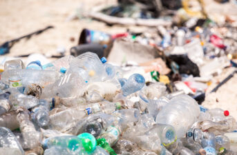 Plastics: The History of an Ecological Crisis