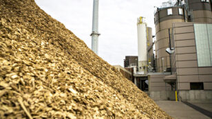 Biomass More Polluting Than Coal, New Study Finds