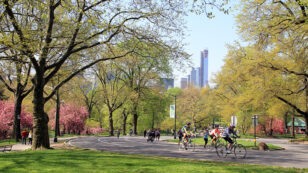 New York’s Central Park Is Going Car-Free