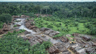 Amazon Deforestation, Already Rising, May Spike Under Bolsonaro