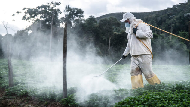 Bolsonaro Greenlights New Pesticides While Environmentalists Mourn 500 Million Dead Bees in Brazil