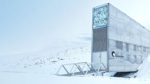 ‘Doomsday’ Seed Vault Flooded After Arctic Permafrost Melts