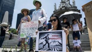 Emails Reveal: U.S. Officials Sided With Agrochemical Giant Bayer to Overturn Mexico’s Glyphosate Ban