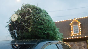 Don’t Stress About What Kind of Christmas Tree to Buy, but Reuse Artificial Trees and Compost Natural Ones