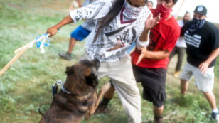 Dakota Access Pipeline Company Attacks Native American Protesters With Dogs and Mace