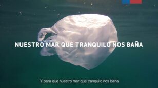 Chile to Become First Country in the Americas to Ban Plastic Bags