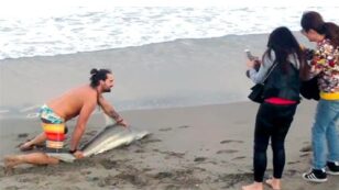 Horrible! This Guy Drags Shark From Sea Just to Pose for Photos