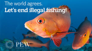 The World Agrees: Let’s End Illegal Fishing