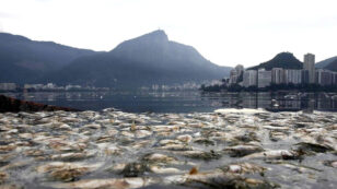 The Rio Olympics: Superbugs, Sewage and Scandal