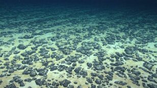 There’s a Rush to Mine Deep Seabeds, With Unknown Ecological Impacts