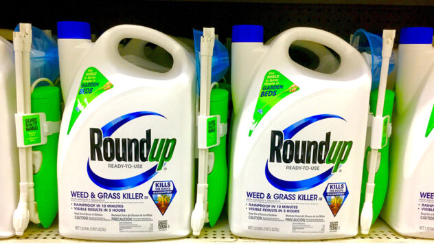 Monsanto Calls for Investigation Into WHO Agency for Ignoring Monsanto-Funded Studies