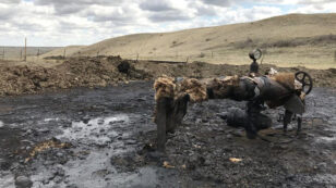 1,400 Tons of Contaminated Soil Hauled From Montana Reservation Oil Spill Site