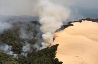 Wildfires Burn Fragile Ecosystem on Australia’s Fraser Island
