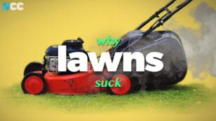 Why Lawns Must Die