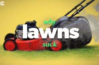 Why Lawns Must Die