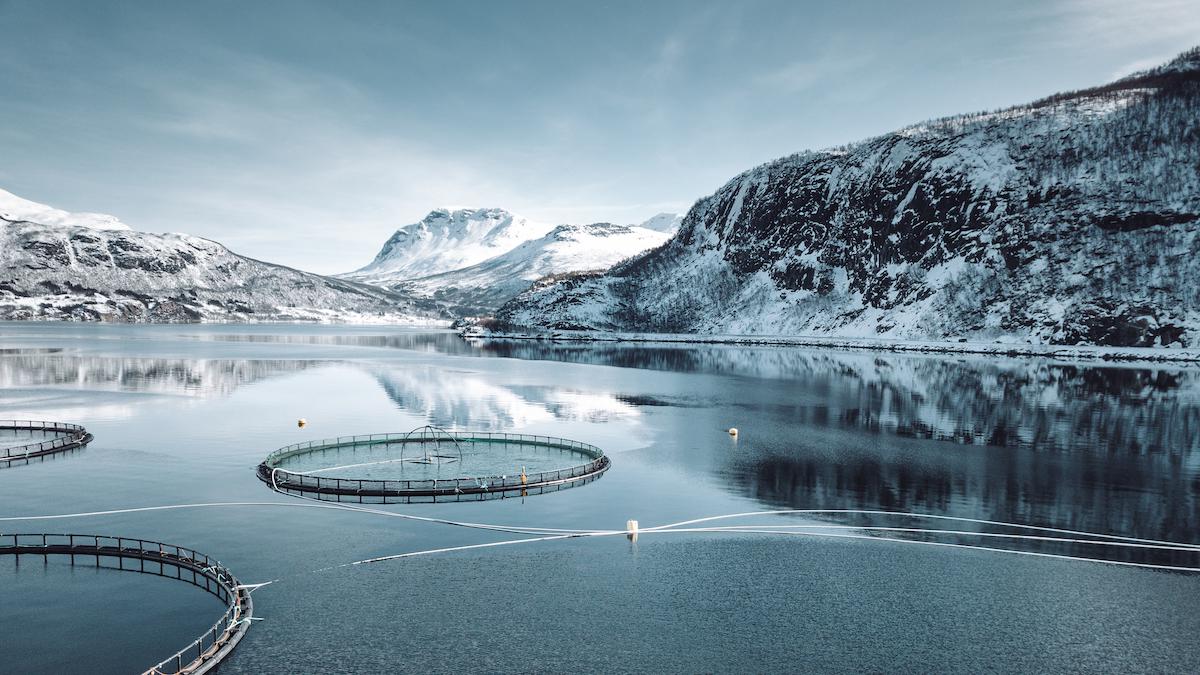 ​A fish farm in Norway.