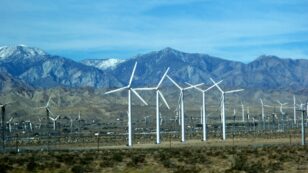 As U.S. Election Nears, Polling Shows 82 Percent of Voters Support 100 Percent Clean Energy Transition