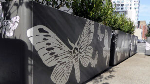 Brooklyn Printmaker Hilary Lorenz Celebrates an Overlooked Pollinator: the Moth