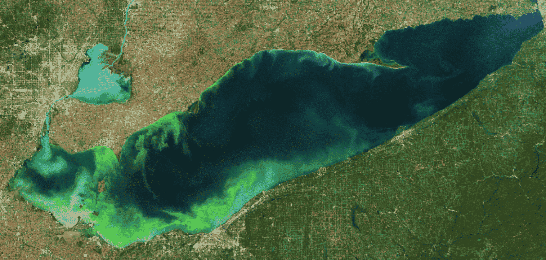 Satellite image of a bad algal bloom in Lake Erie.
