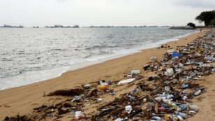 5 Things to Know About Plastic Pollution and How to Stop It