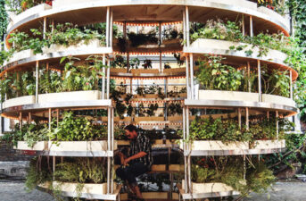The Indoor Garden That Can Feed an Entire Neighborhood