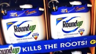 Monsanto Files Lawsuit to Stop California From Listing Glyphosate as Known Carcinogen