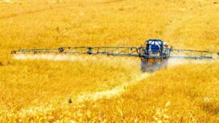Roundup Revealed: Glyphosate in Our Food System