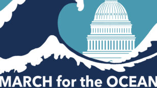 Why It’s Time We March for the Ocean