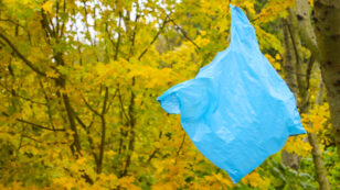 Maine and Vermont Pass Plastic Bag Bans on the Same Day