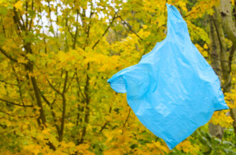 Maine and Vermont Pass Plastic Bag Bans on the Same Day