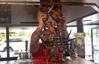 132-Year-Old Giant Lobster Finally Freed After 20 Years in NY City Restaurant