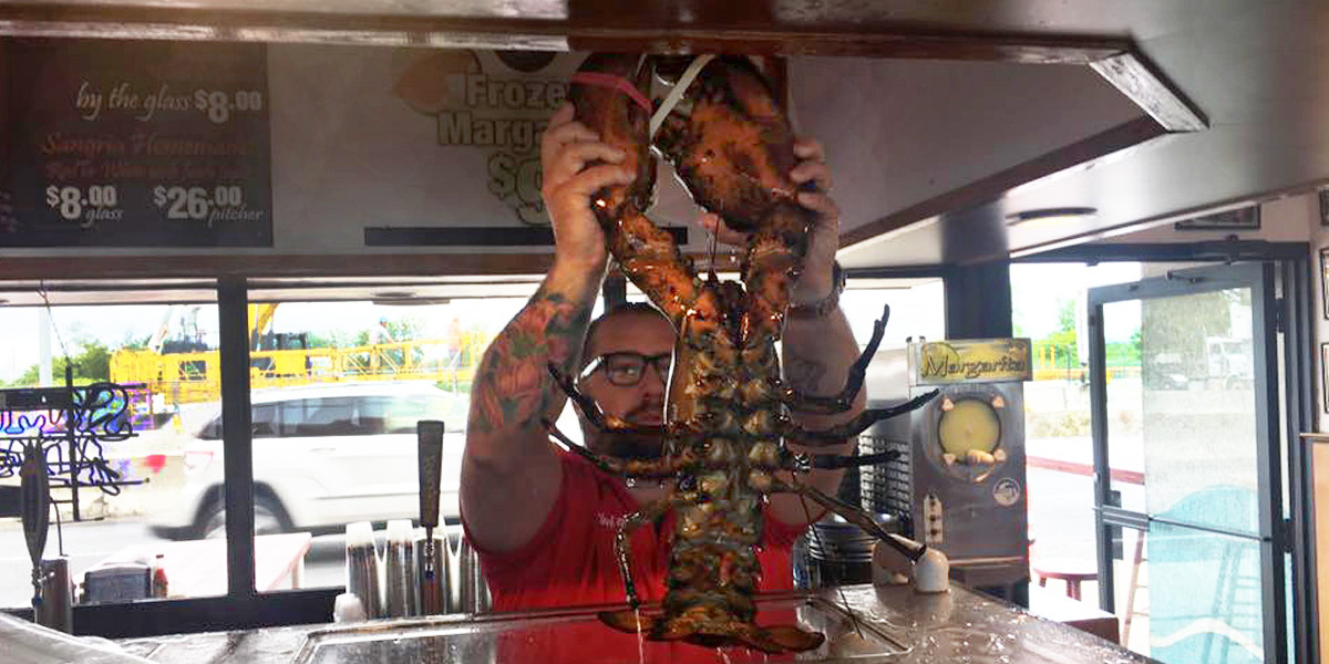 132-Year-Old Giant Lobster Finally Freed After 20 Years in NY City Restaurant