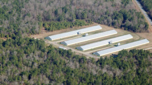 New Investigation: Surge of Poultry Factory Farms in North Carolina Added Waste From 515.3M Chickens to That of 9.7M Hogs