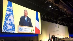 Prince Charles: Governments Must Scrap Fossil Fuel Subsidies