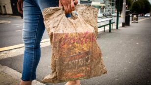 Biodegradable Bags Buried for 3 Years Still Work